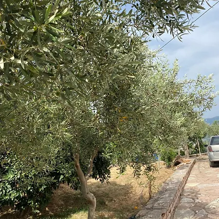 Holiday House بيت للعطل ساراندا